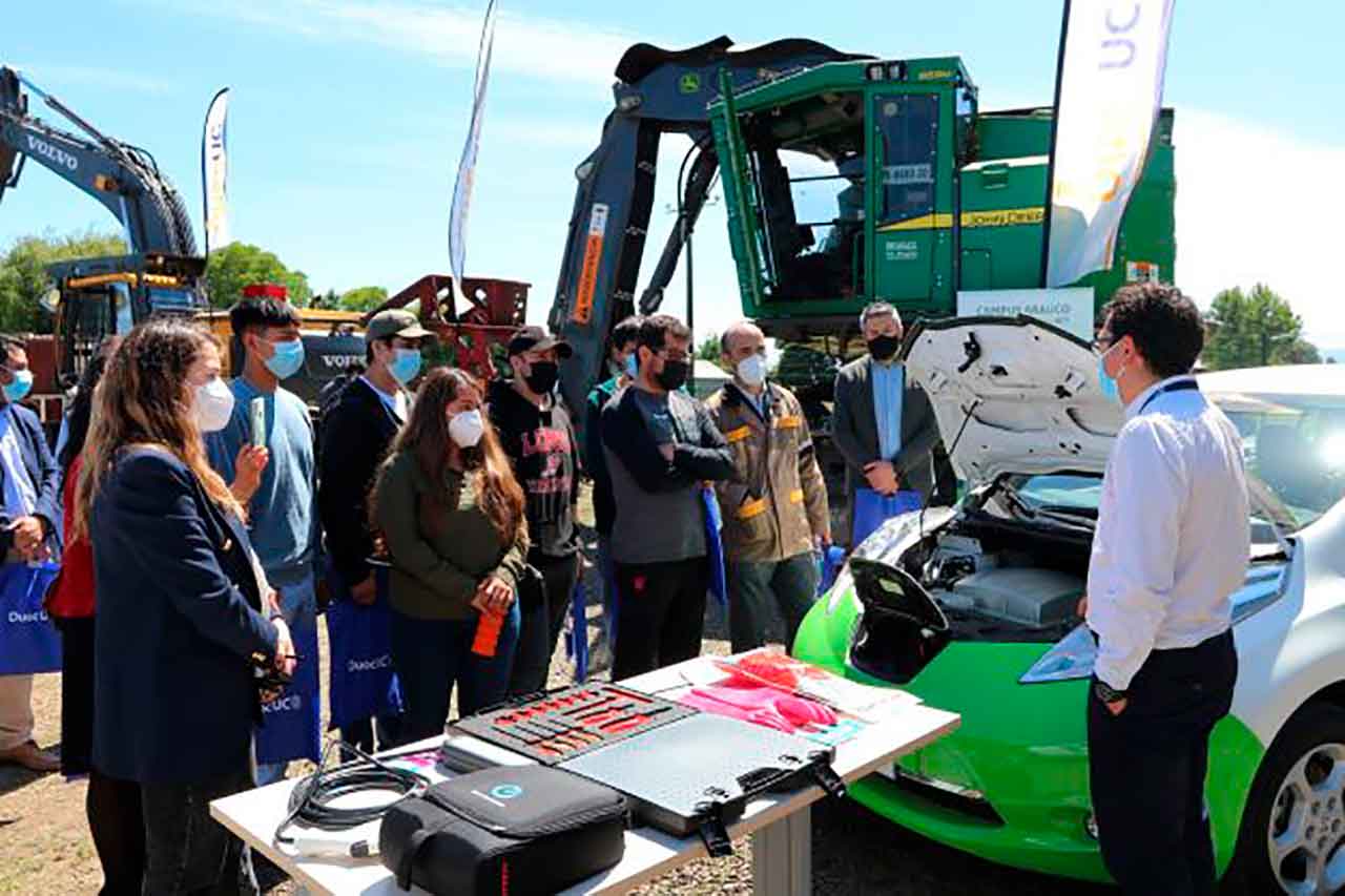 Forestry Education in Higher Education