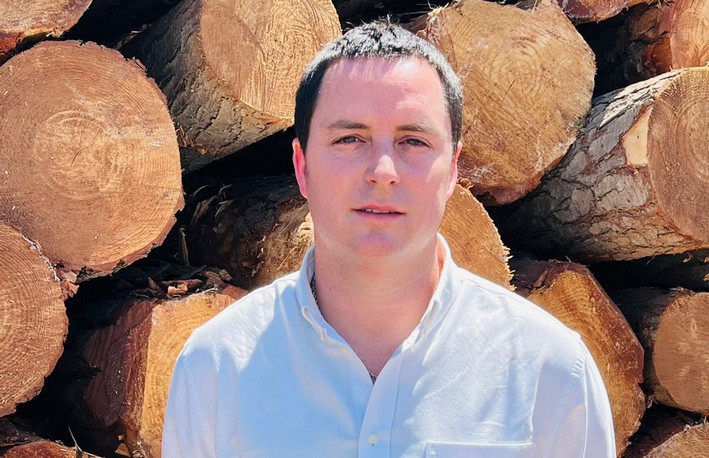 Forest Fires: Prevention and Law, Without Further Delay