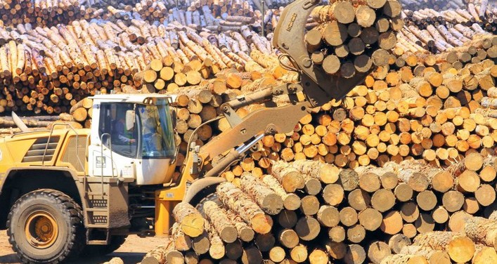 Sectoral Negotiation: Forestry, Fishing, and Port Sectors Are the Most Viable According to Local Unions