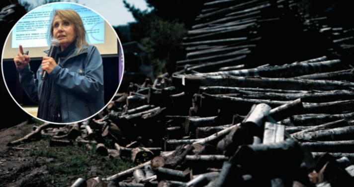 Seremi of Labor offers apologies after linking sawmill closures to decrease in wood theft