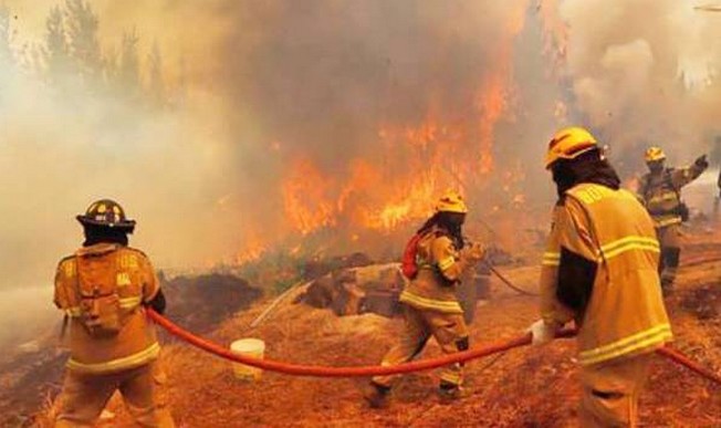 Siete detenidos por provocar incendios forestales se contabilizan durante el inicio de 2026 en Ñuble