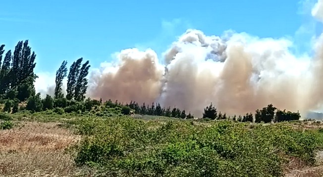 Primera semana del año deja cuatro detenidos por incendios forestales en la provincia