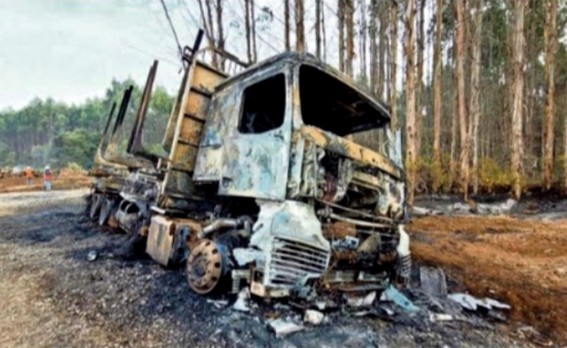 Bajan los hechos de violencia, pero La Araucanía concentra el 78% de los atentados a contratistas forestales