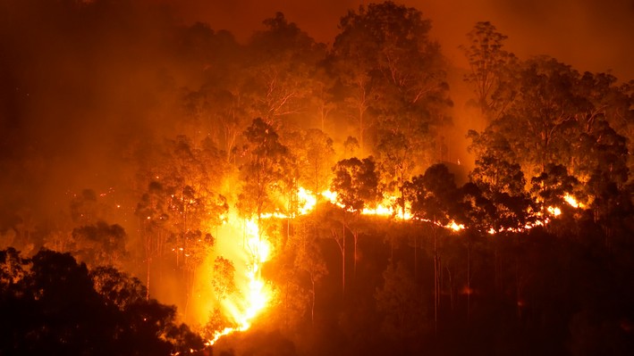Comprehensive Action Against Forest Fires