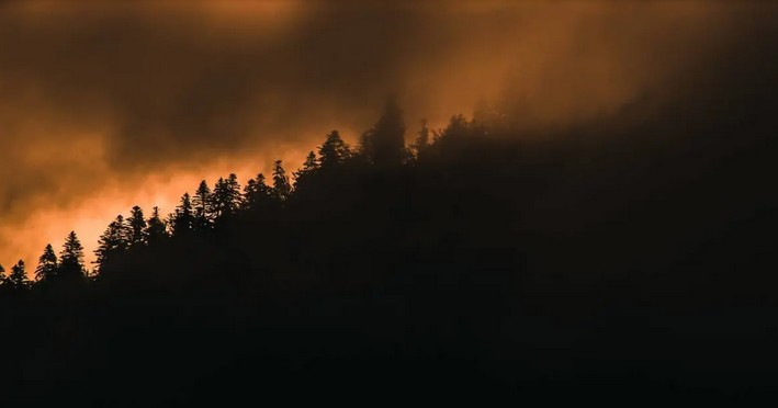 Study Warns That Wildfire Smoke Contains Dangerous Pollutants