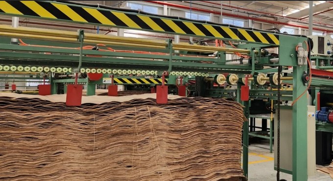 Biobío's Forestry Exports Plunge Sharply in November 2025