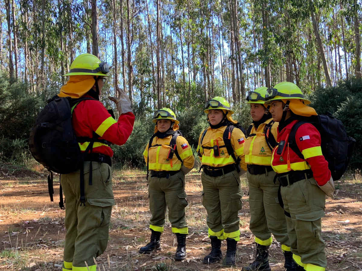 Female Participation in the Forestry Sector Continues to Grow in Chile