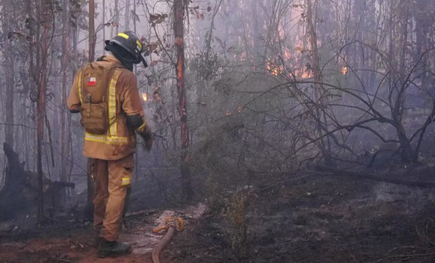 Government Questioned Over Attack on Firefighters in Curanilahue, Governor Labels Act "Terrorist"