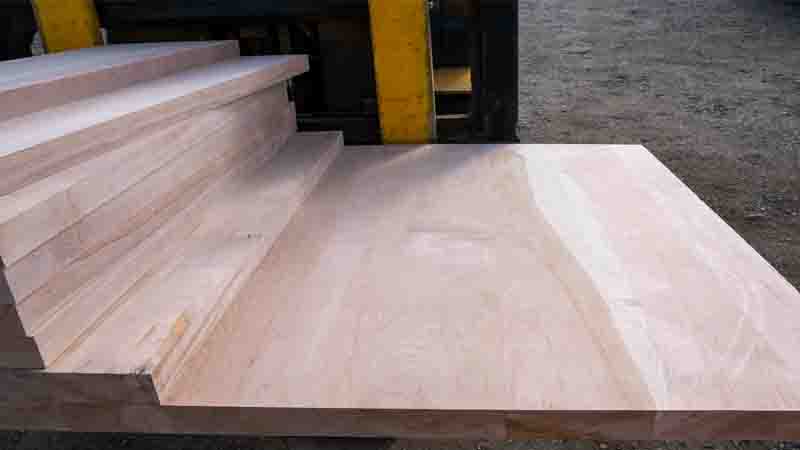 The Lenga: Pillar of Traditional Construction in Punta Arenas