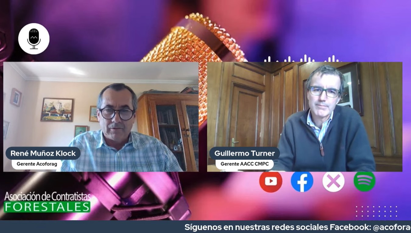 A indústria florestal chilena, um exemplo global de sustentabilidade