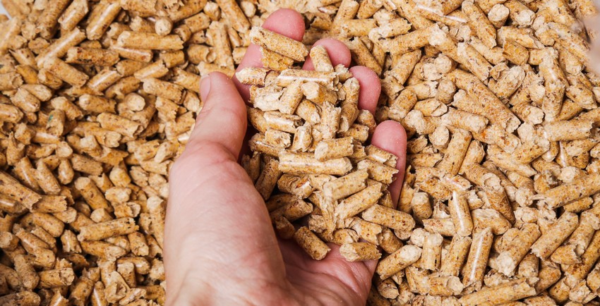 Garantem abastecimento de pellets na Araucanía para combater a contaminação