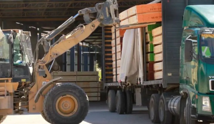 Timber Crisis: 26 Sawmills Closed in Ñuble Between 2019 and 2024