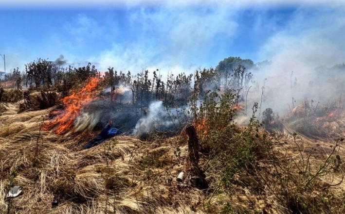 Human and Economic Strain: Los Angeles Firefighters Warn of Impact from Repeated Grass Fires