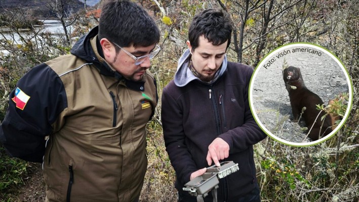 Park Rangers Train in Detection and Control of American Mink in Torres del Paine National Park