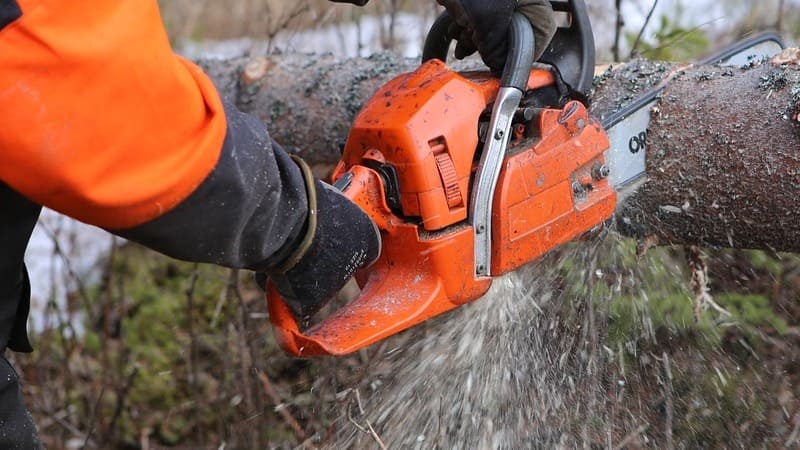 Innovations Aim to Combat Illegal Logging and Achieve Greater Efficiency in the Forestry Sector