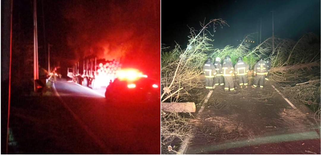 Pelo menos três caminhões florestais queimados em ataque incendiário em Lumaco