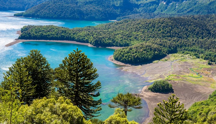 Cutting-edge Technology to Study Forest-Atmosphere Interaction in Conguillío Park