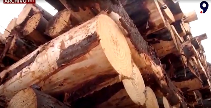 Acoforag Warns: 50 Contractors Disappeared Due to Terrorism, Fires, and Lack of Afforestation