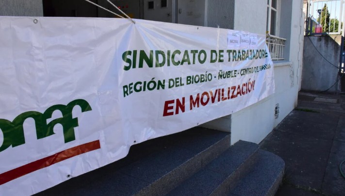 Reason for Conflict in Conaf Explained Amid Legislative Discussion to Become a National Service