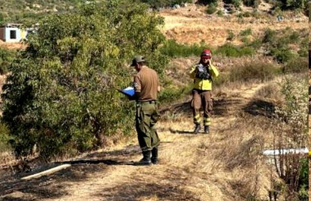 Carabineros Arrest One Person for Forest Fire in Quillota Sector