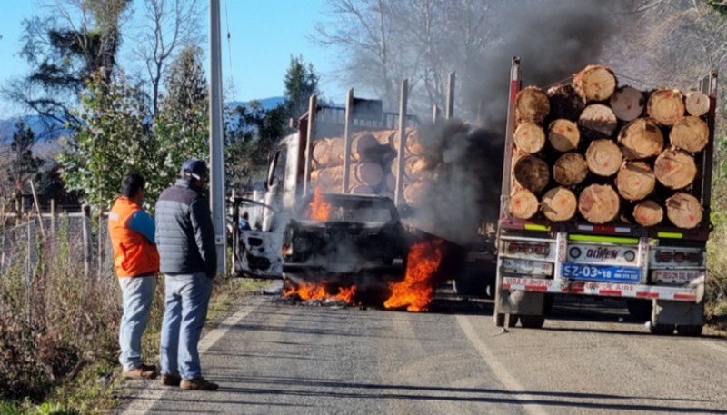 Forestry Contractors: Over 40 Thousand People Have Been Victims of Violence in the Southern Macrozone