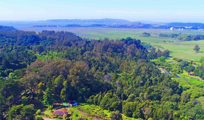 Projected that by March 2026 the new Biodiversity and Protected Areas Service will operate in Biobío