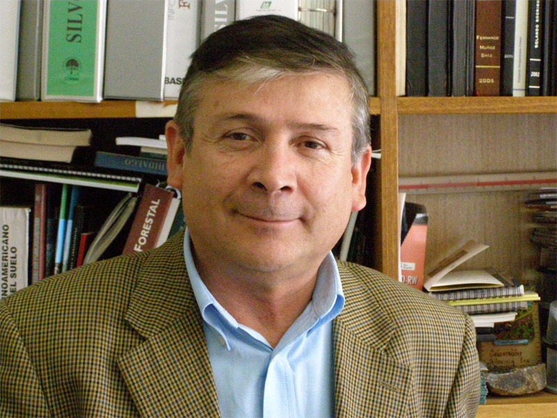 Pioneering Forestry in Sustainability