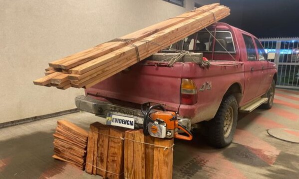 PDI arrests 3 people caught stealing wood from trees in Purranque