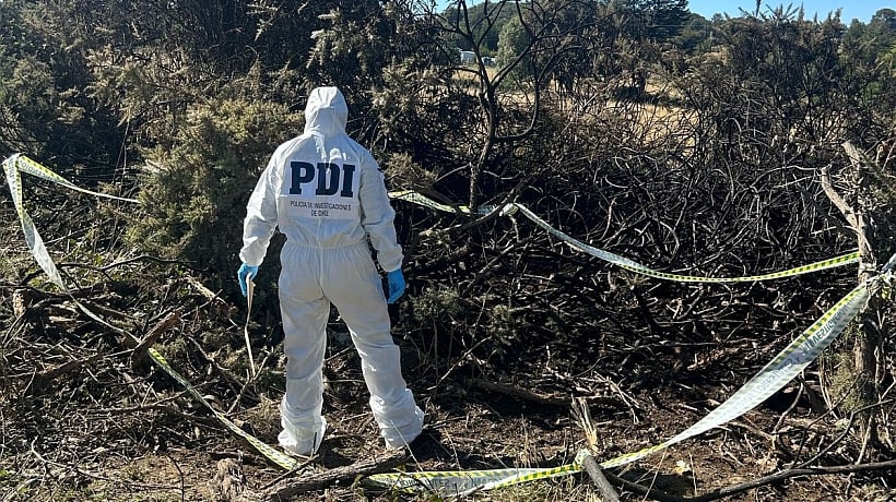 Evidence Would Confirm Intentionality of Forest Fires in Chonchi