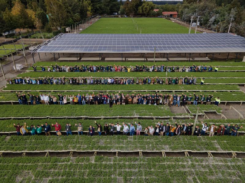 Pequenas e médias empresas florestais solicitam ajuda urgente ao governo após incêndios