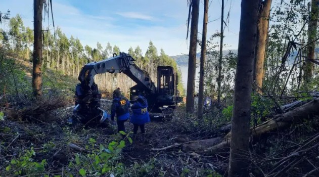 Ataque incendiário em Panguipulli: autores exigem libertação de presos mapuches