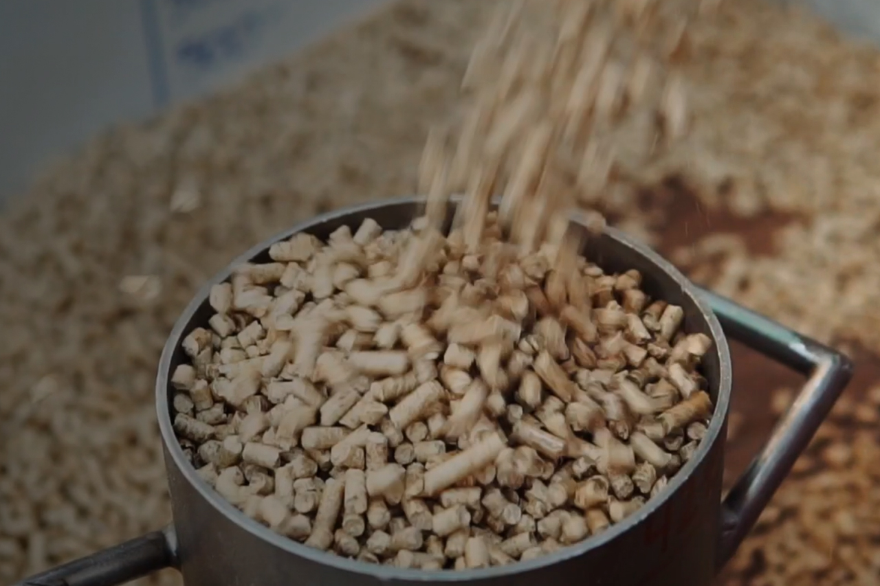 De biomassa tradicional a Bioenergia Sustentável