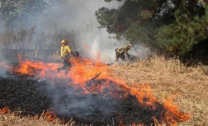 Ten Red Alerts and Three Arrests for Forest Fires in Biobío This Summer