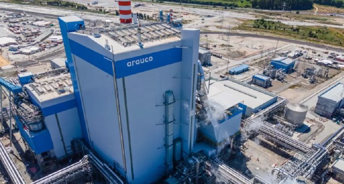 Arauco's Jabs at Permitting in Chile: "In 10 Years, Brazil Completed 5 Pulp Megaprojects"