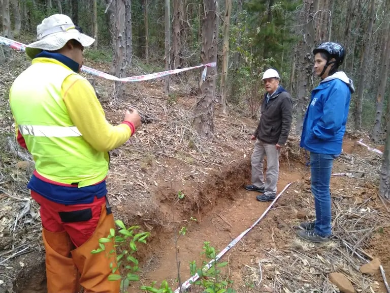 Pesquisadores da Unesco demonstram que florestas e plantações florestais frearam a desertificação no Chile