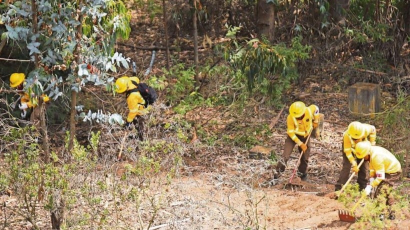 Ñuble enfrentará período de incendios con 200 brigadistas