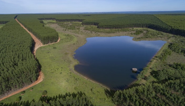 Arauco logra financiamiento histórico para construir la mayor planta de celulosa del mundo en Brasil